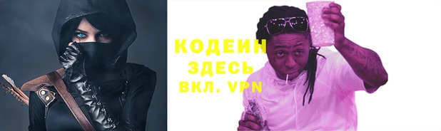 скорость Вяземский