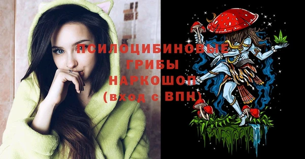 скорость Вяземский