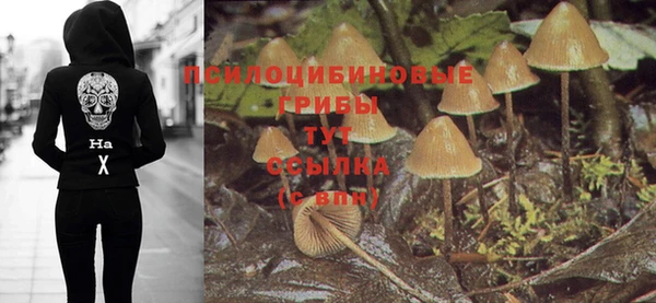 скорость Вяземский
