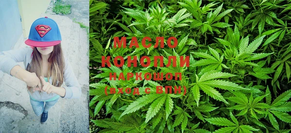 скорость Вяземский