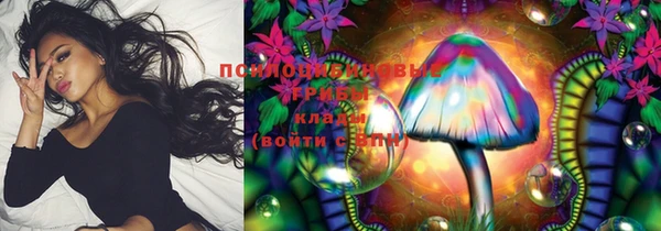 скорость Вяземский