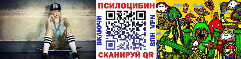 Псилоцибиновые грибы Psilocybe  где купить наркоту  Новосиль 
